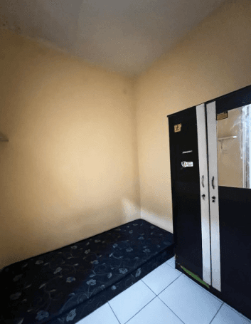 Highlander Kost Alpukat -