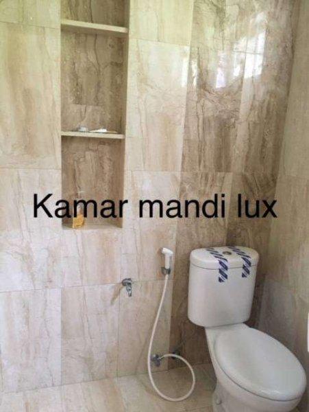 /uploads/7115858.jpg