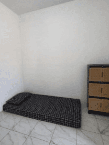 Kost maleber utara -